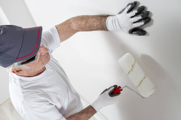 Forensic Mold Investigation in Ballston Spa, NY