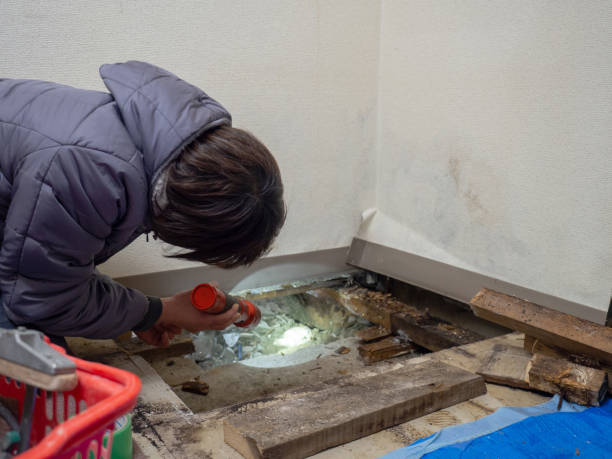 Best Industrial Mold Remediation  in Ballston Spa, NY