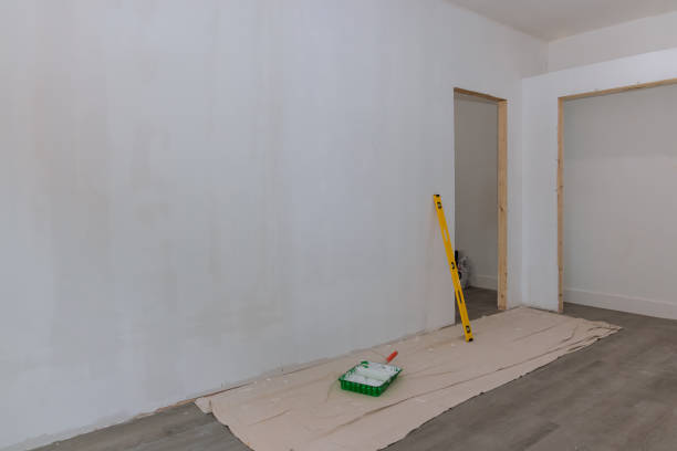 Reliable Ballston Spa, NY Mold Removal Solutions
