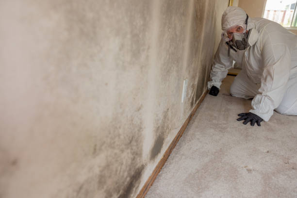 Mold Documentation for Insurance Claims in Ballston Spa, NY